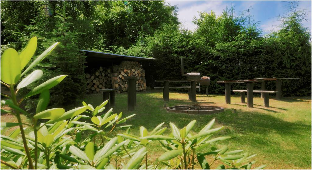 Pension U Lipy Bynovec Exterior photo